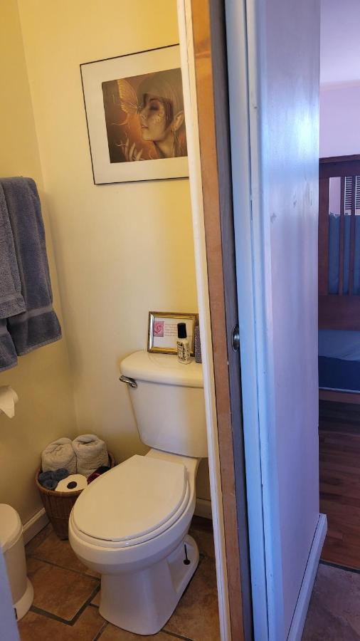 Angel Cottage With A Sauna Or The Cozy With A Jacuzzi Tub, Both Are Studios With A View Of מאונט שסטה מראה חיצוני תמונה